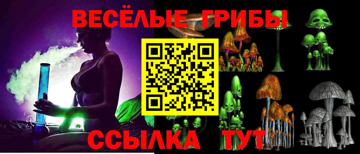 Галлюциногенные грибы ЛСД  Вход с VPN  Галлюциногенные грибы Psilocybe  Буйнакск 